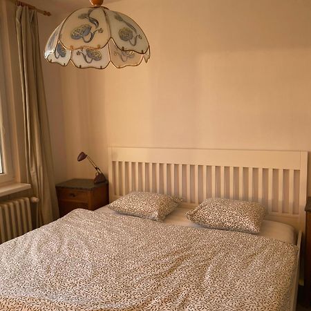 Apartman Pod Studenou Horou Rokytnice nad Jizerou Eksteriør billede