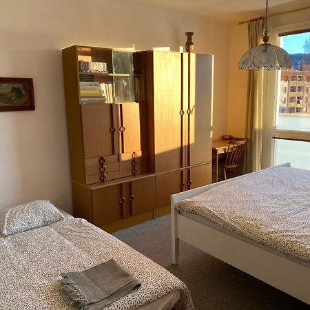 Apartman Pod Studenou Horou Rokytnice nad Jizerou Eksteriør billede