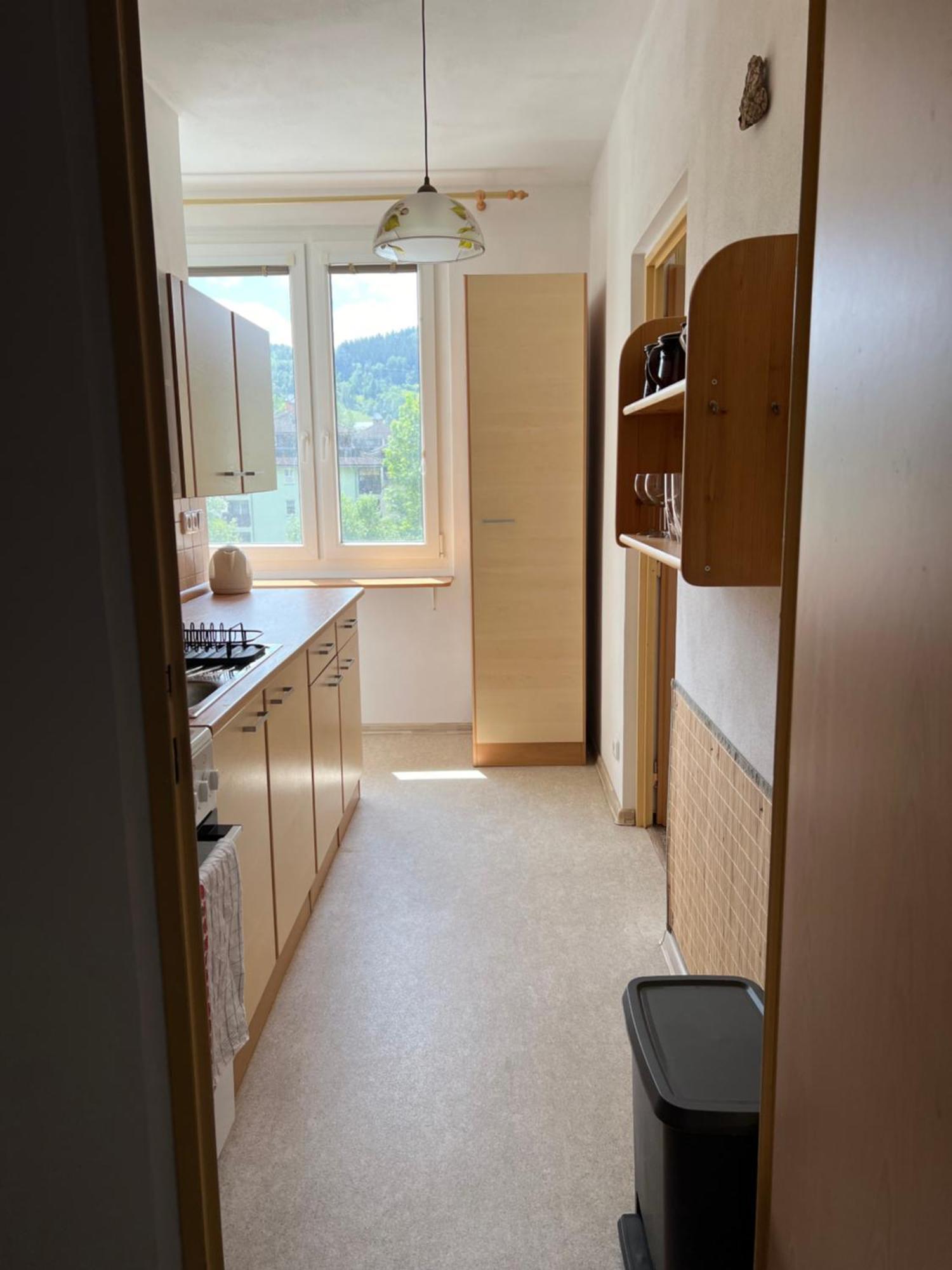 Apartman Pod Studenou Horou Rokytnice nad Jizerou Eksteriør billede