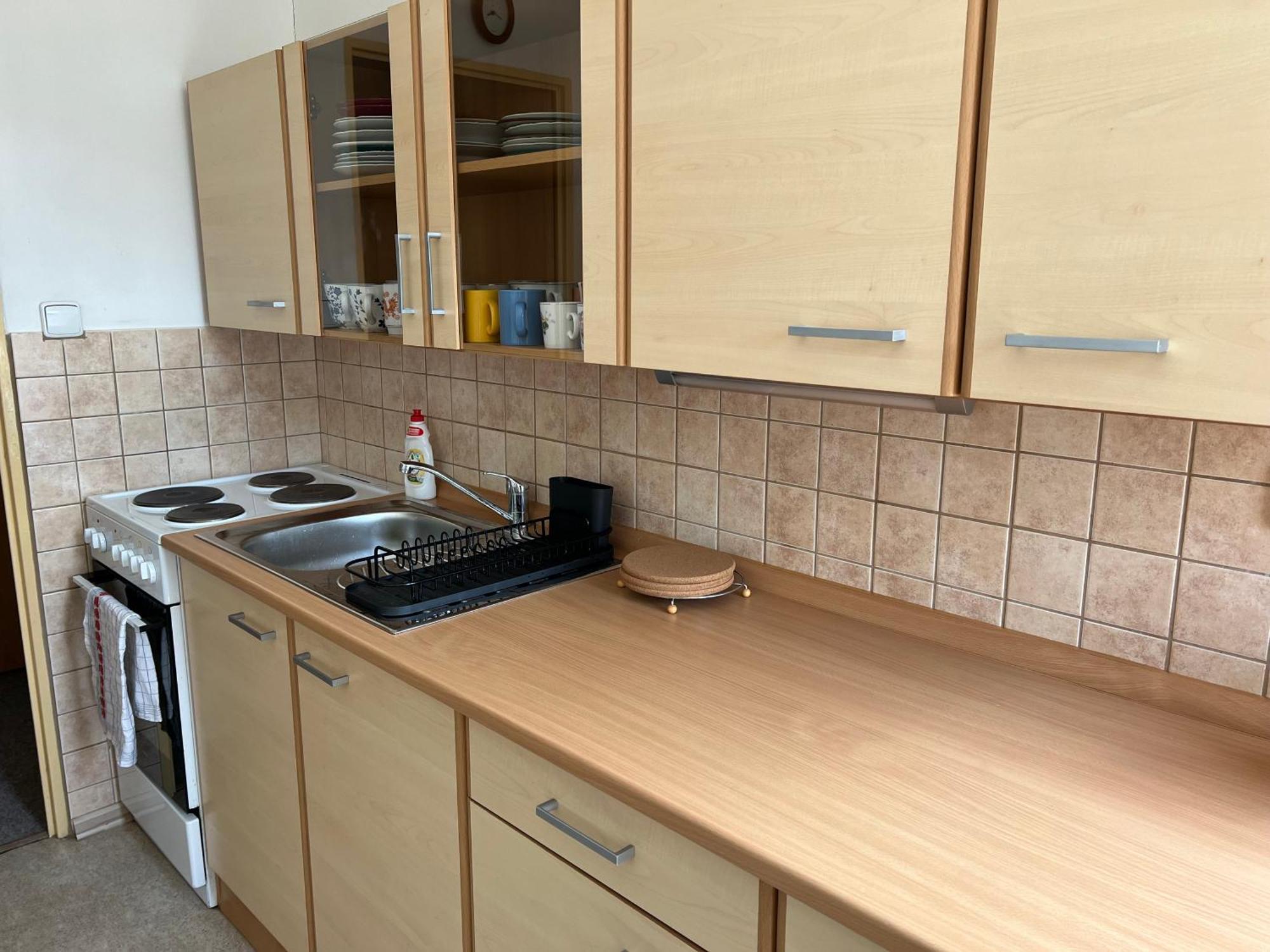 Apartman Pod Studenou Horou Rokytnice nad Jizerou Eksteriør billede