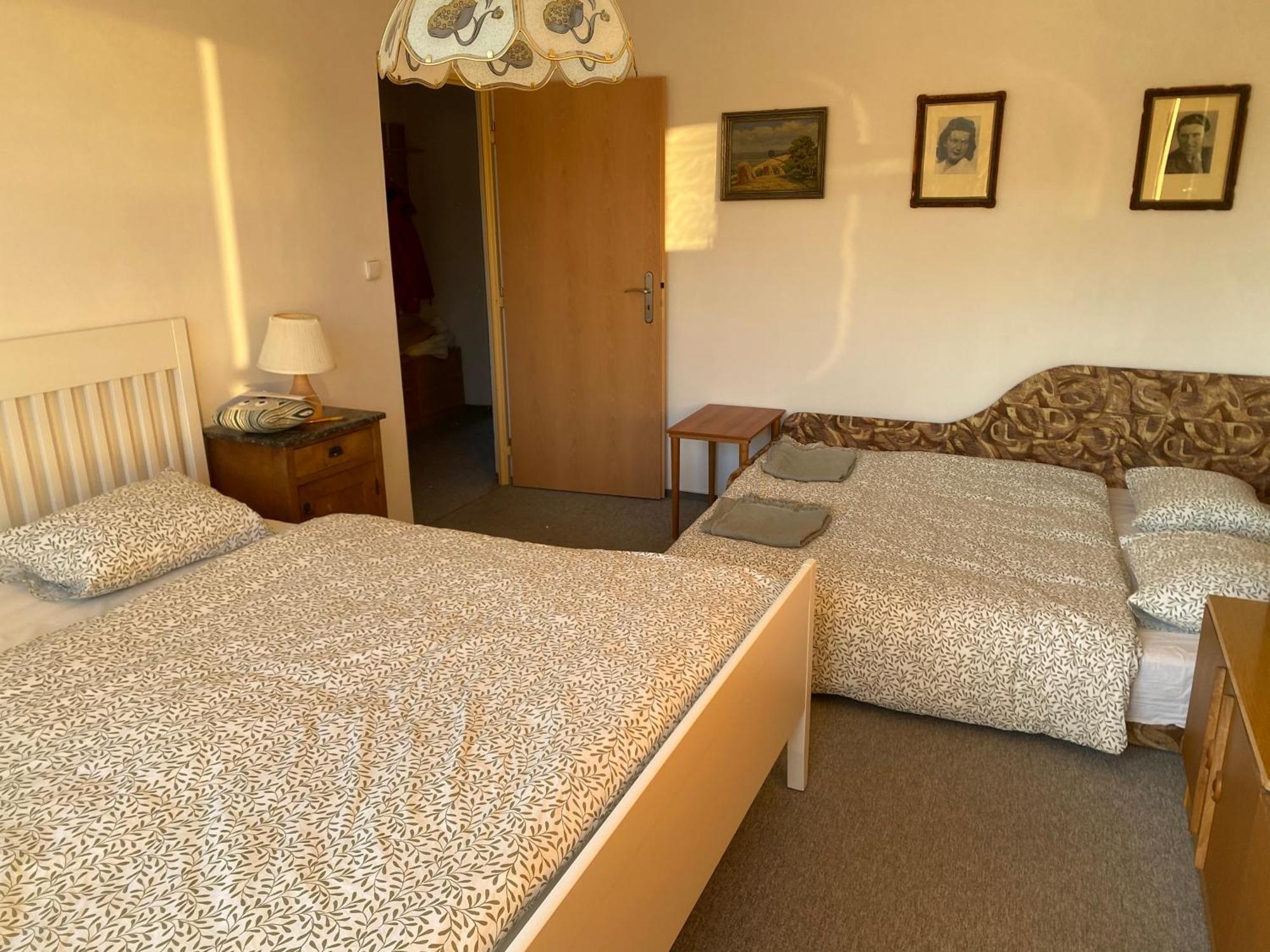 Apartman Pod Studenou Horou Rokytnice nad Jizerou Eksteriør billede